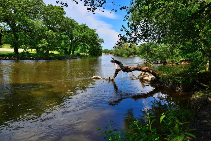 The Beautiful Fox River in Southeastern Wisconsin with Fallen Tree