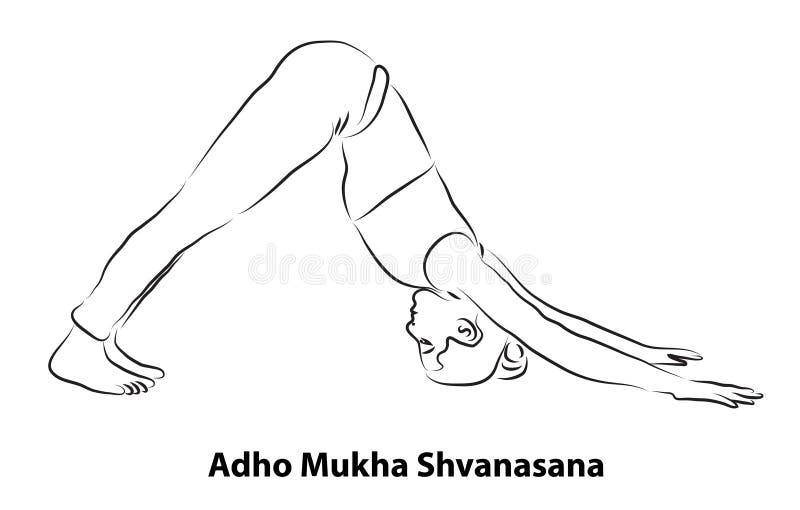 downward facing dog pose yoga downward facing dog pose adho mukha shavasana yoga pose digital vector line art 218979783