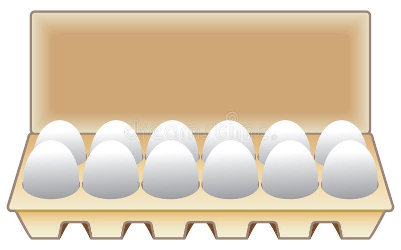 A Dozen Eggs in a Carton