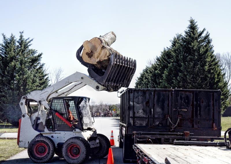 Professional landscapers use small dozer to haul away large logs and dumping in dump truck. Professional landscapers use small dozer to haul away large logs and dumping in dump truck.