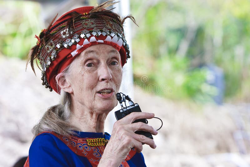 Dr. de stammen van Jane Goodall MACK Daru in Taitung Taiwa