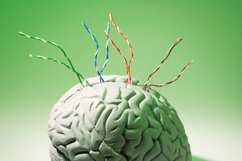 Draden op Hersenspecimen stock afbeelding