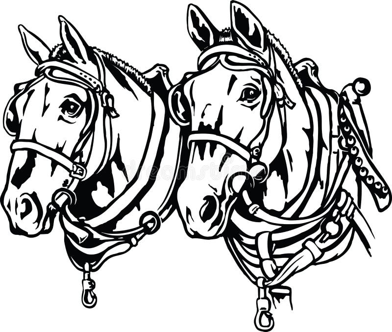 Draft Horses Illustration