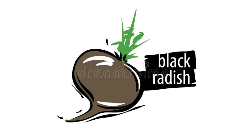Dragen, svart, radisk isolerad på vit bakgrund stock illustrationer