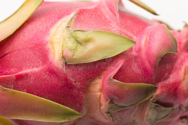 Dragon Eye fruit stock photo. Image of fruit, exotic 107831134