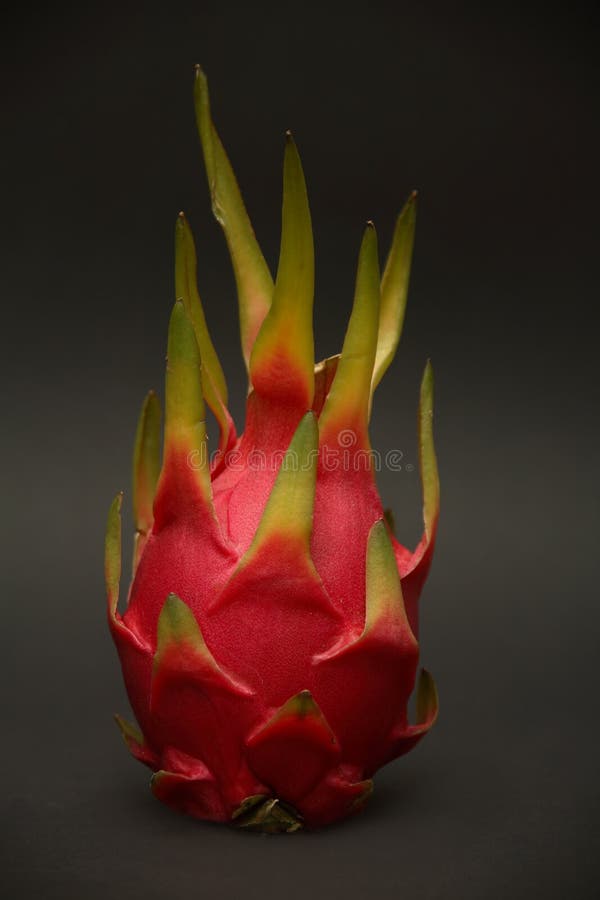 Dragon Fruit royalty free stock images