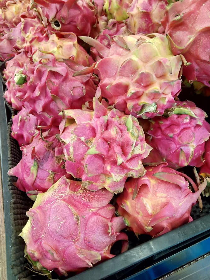 Dragon Fruit Has a High Fiber Content Stock Image Image of produce