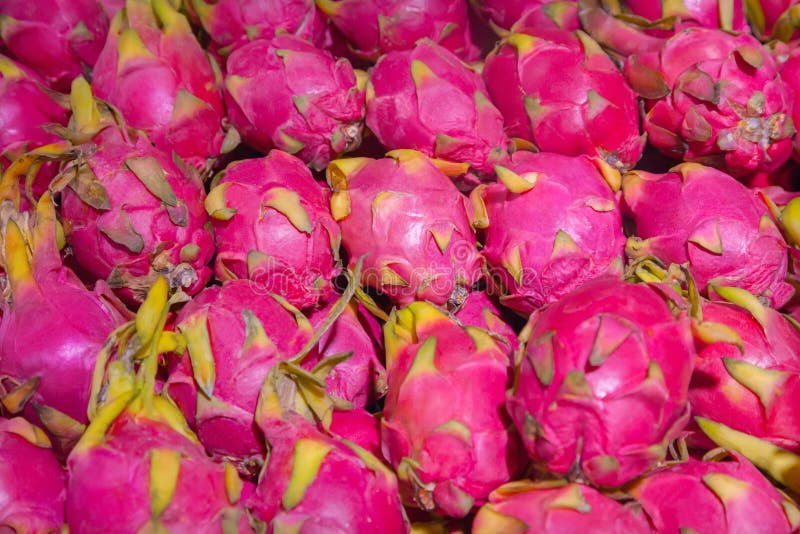 Dragon fruit stock photo. Image of asia, dragon, close 9245866