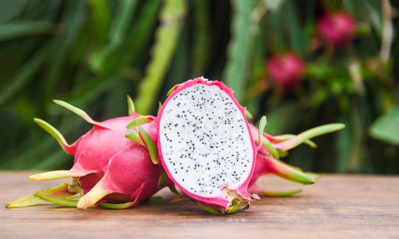Dragon fruit slice on wooden with dragon fruit tree background - Fresh pitaya summer tropical fruit concept royalty free stock images Dragon fruit slice on wooden with dragon fruit tree background - Fresh pitaya summer tropical fruit concept royalty free stock images