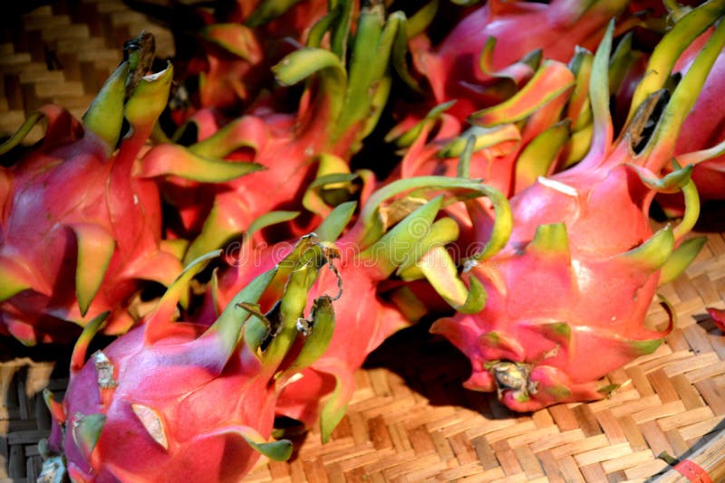 Dragon Fruit. Thai Pitahaya Stock Image - Image of meal, healthy: 218398257