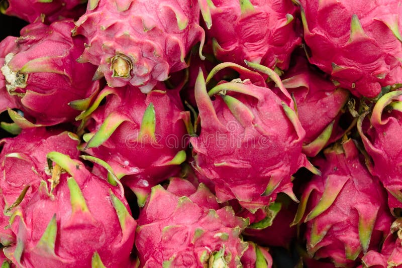 Dragon fruits for sale stock photo. Image of retail 155976330