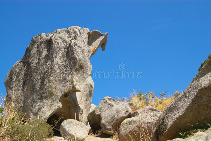 Dragon Shaped Cloud stock image. Image of vapor, outdoor - 81680289