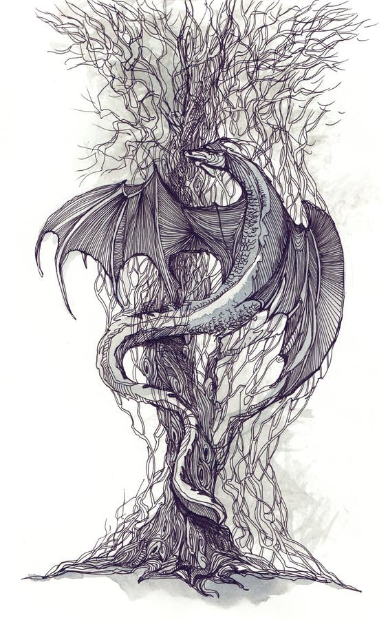 Dragon tree stock illustration. Illustration of ancient 21569018