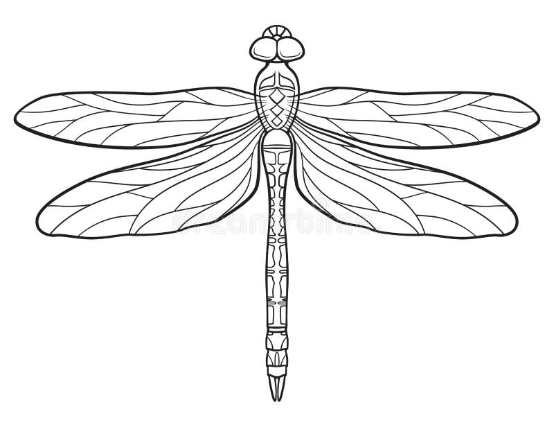 Black and white ink illustration of a dragonfly vector illustration.