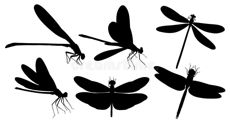 Dragonfly silhouettes. stock vector. Illustration of insect - 80897512