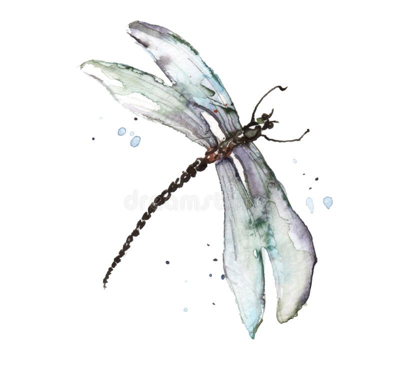 Dragonfly watercolor blue  splashes. Bright Watercolor Illustration of Colorfull Dragonfly. Hand Drawn Image of Insect Isolated on