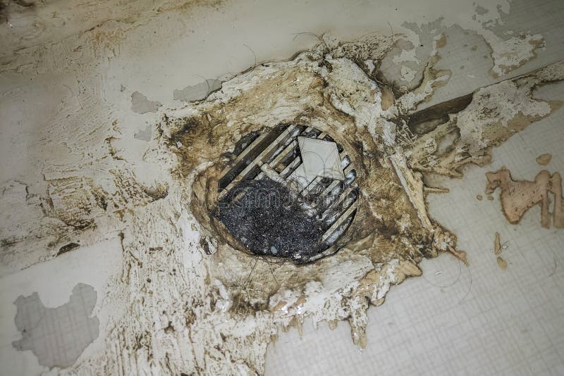 Instagrammer Uses Shower Drain Hair to Make Art