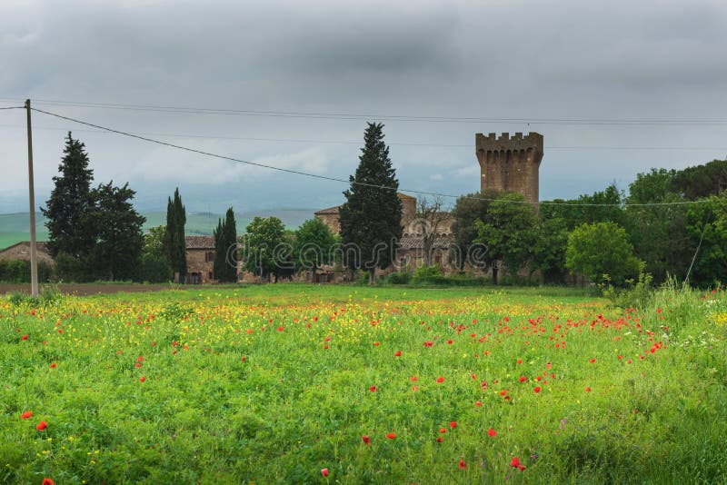 Dramatic beautiful view of green fields and meadows at sunset in Tuscany royalty free stock photography Dramatic beautiful view of green fields and meadows at sunset in Tuscany royalty free stock photography