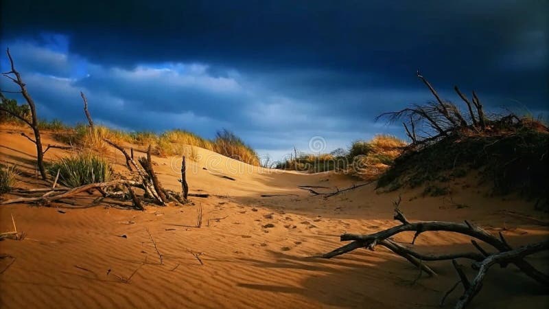 Dramatic desert landscape under a stormy sky with dead trees and sand dunes stock illustration