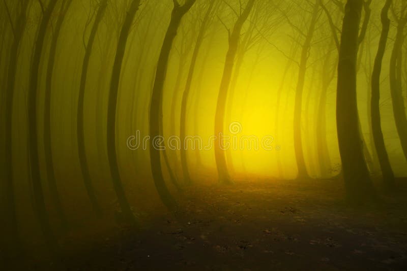 106 Fantasy Photo Editing Background Stock Photos - Free & Royalty-Free  Stock Photos from Dreamstime