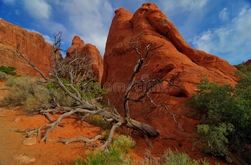 Dramatic Landscape of Arches National Park