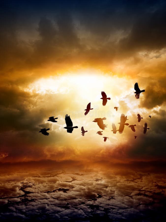 Dramatic nature background royalty free stock images