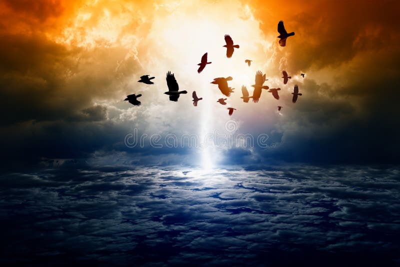 Dramatic nature background stock image