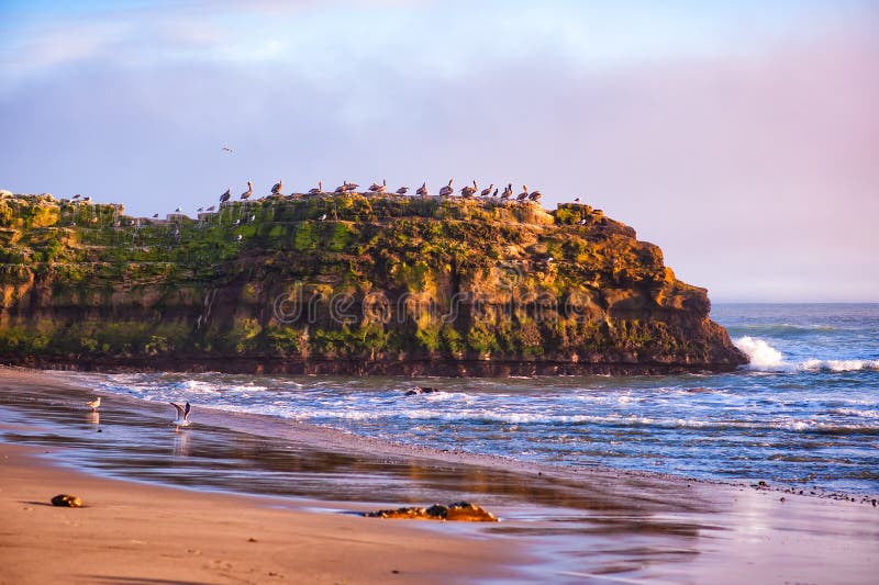 Dramatic pink sunset over Natural Bridges State Beach in Santa Cruz, California, USA. Amazing landscape with natural stone rock