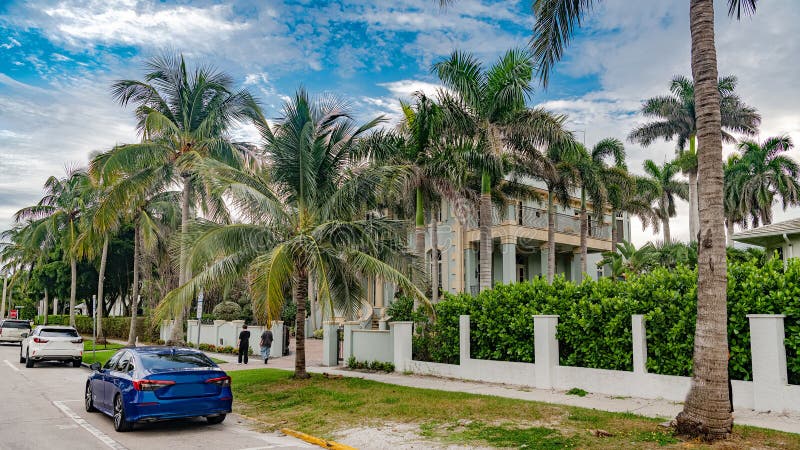 Dramatic scene of a classic white mansion and multiple palm trees, contrasting with the blue sky overhead stock image
