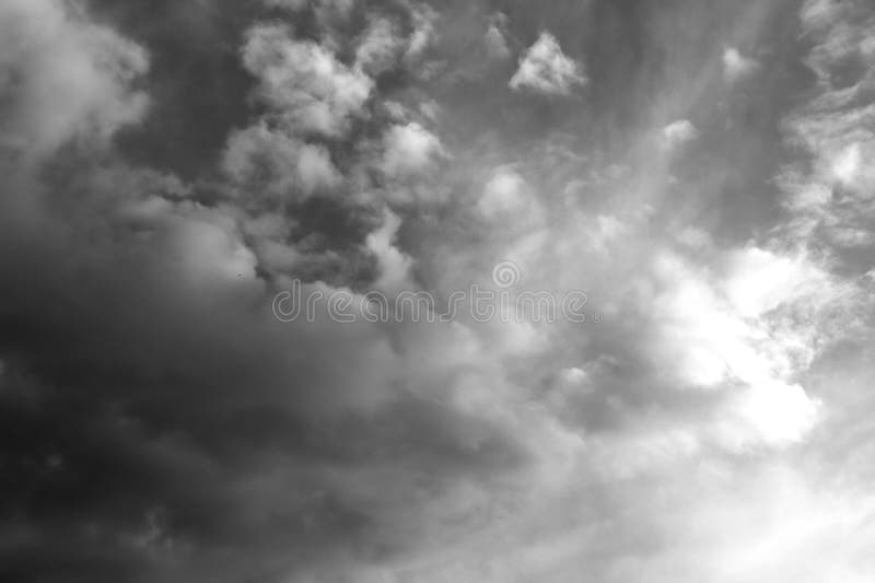 Nature background 1918 royalty free stock photos