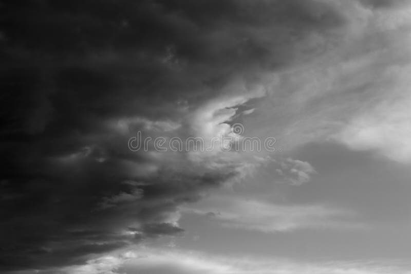 Nature background 1917 stock photography