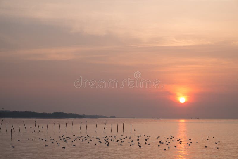 Dramatic sunrise at QM. Bangpu Recreation Center royalty free stock images Dramatic sunrise at QM. Bangpu Recreation Center royalty free stock images