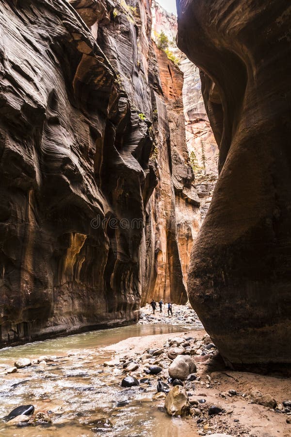 dramatic and tranquil landscape image taken in the Narrows on Zion national park. Its the Virgin River r in the park.