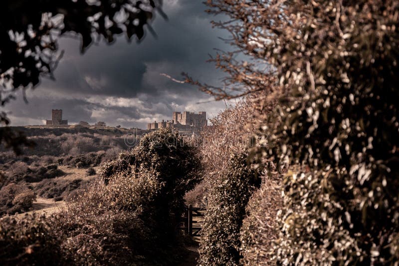 Historic Castle Framed by Nature stock photo