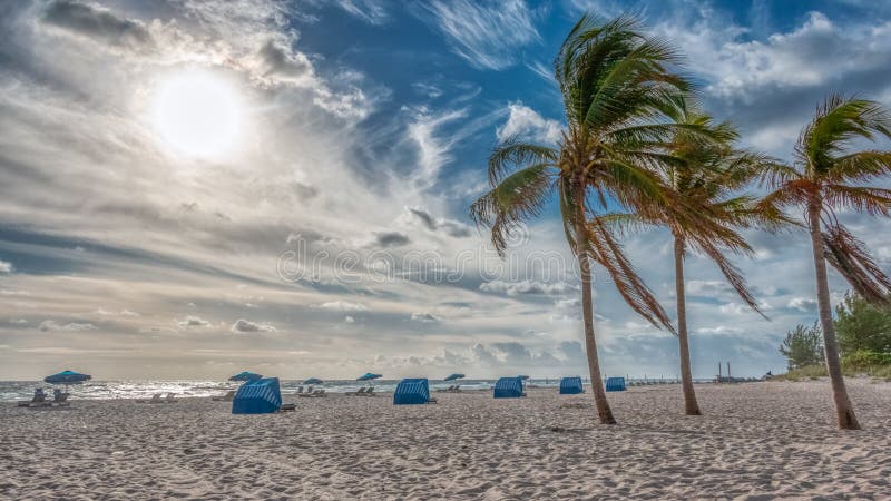 Dramatiska moln och vindslagpalmträd på stranden i Florida fotografering för bildbyråer Dramatiska moln och vindslagpalmträd på stranden i Florida fotografering för bildbyråer