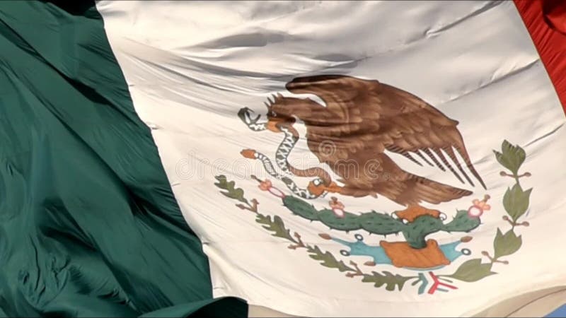 Tacos Du Drapeau Mexicain. Il Forme Le Drapeau Mexicain Sur Un Navire Plat  Banque De Vidéos - Vidéo du poivron, homemade: 249003688