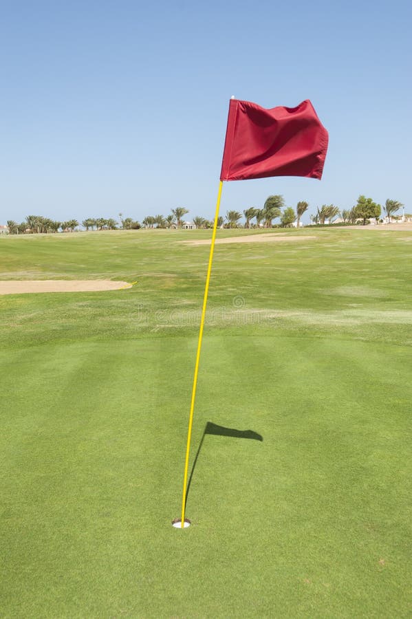 Drapeau Sur Un Vert De Terrain De Golf Photo stock Image du cours