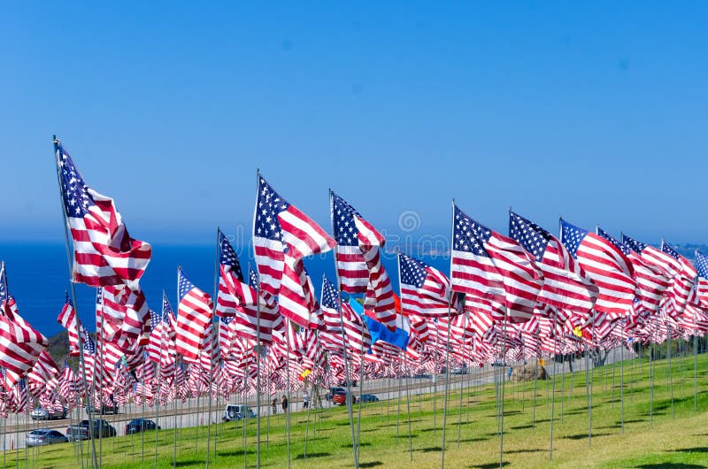 Drapeaux américains sur un champ photo stock Drapeaux américains sur un champ photo stock