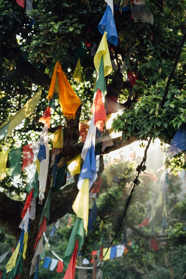 Drapeaux pendant des arbres au Népal images libres de droits Drapeaux pendant des arbres au Népal images libres de droits