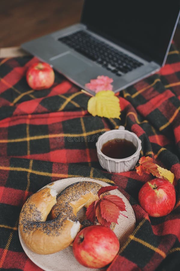 Draufsicht des gemütlichen Herbstmorgens zu Hause Frühstücken Sie mit Laptop, Tasse Tee und Bagel mit Äpfeln auf woolen Plaiddeck lizenzfreie stockfotos