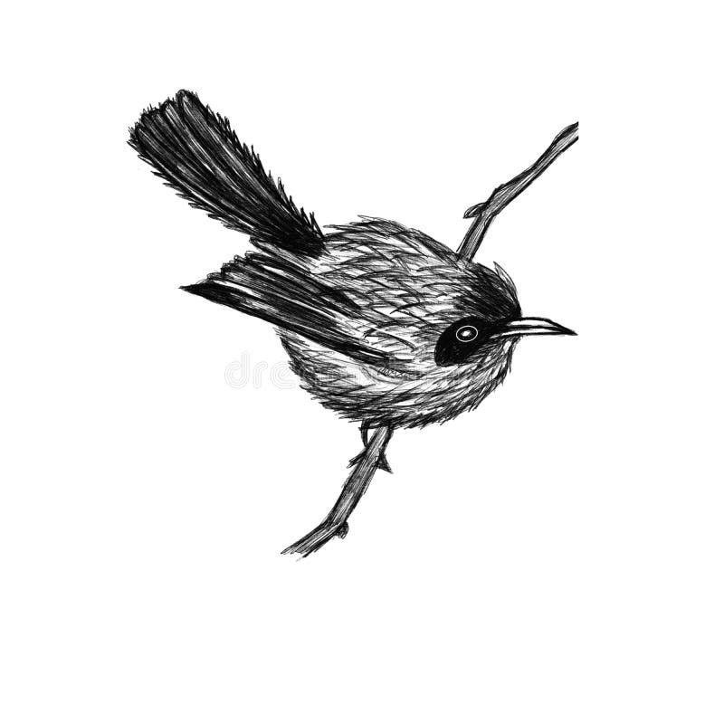 Bird Drawing Images – Browse 1,905,098 Stock Photos, Vectors, and Video |  Adobe Stock