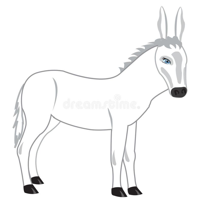 Drawing Of The Burro Stock Vector Illustration Of Pets 24263155