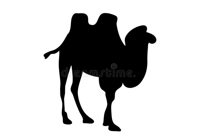 Drawing of Camel Silhouette with a White Background Stock Illustration ...