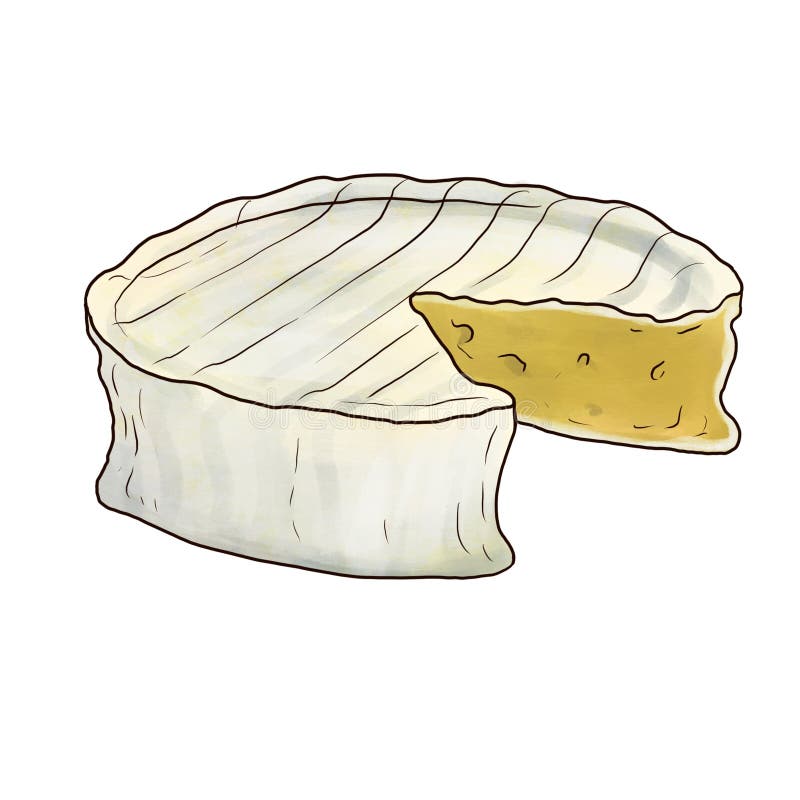 Drawing Cheese Emmental Isolated at White Background Stock Illustration