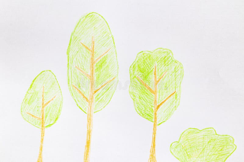 Drawing with Colored Pencils. Stock Image Image of petal, drawing