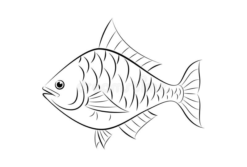 Featured image of post Fish Drawing Images Black And White