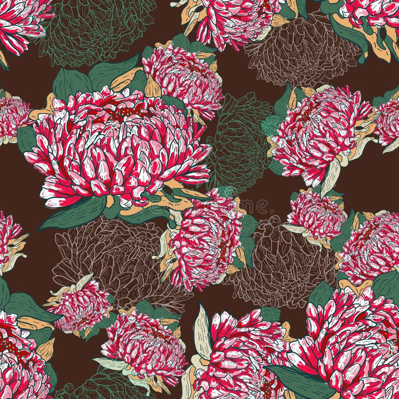 Drawing flowers vector illustration