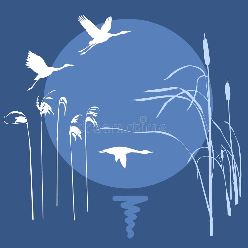 Drawing flying birds stock vector. Illustration of moon - 16715914