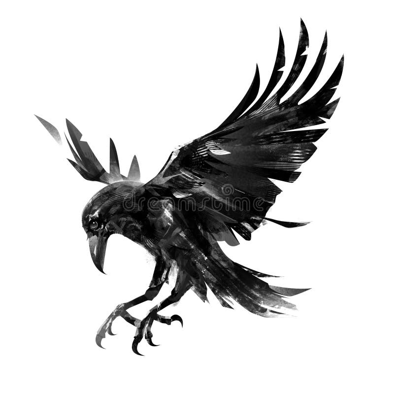 Drawing Flying Crow on White Background. Isolated Sketch of a Bird. Stock Illustration - Illustration of depression, claw: 101825130 Drawing Flying Crow on White Background. Isolated Sketch of a Bird. Stock Illustration - Illustration of depression, claw: 101825130