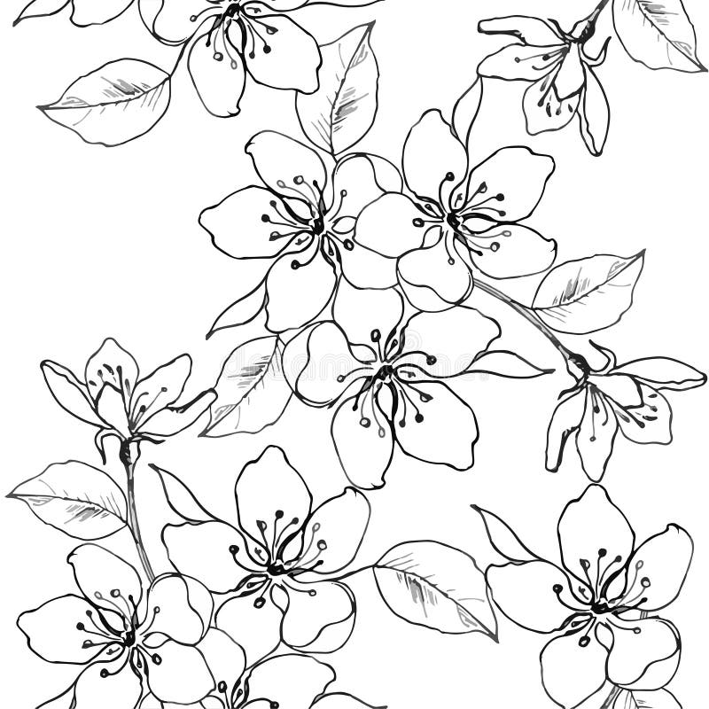 Decorative cherry blossom stock vector. Illustration of flourish 32592060